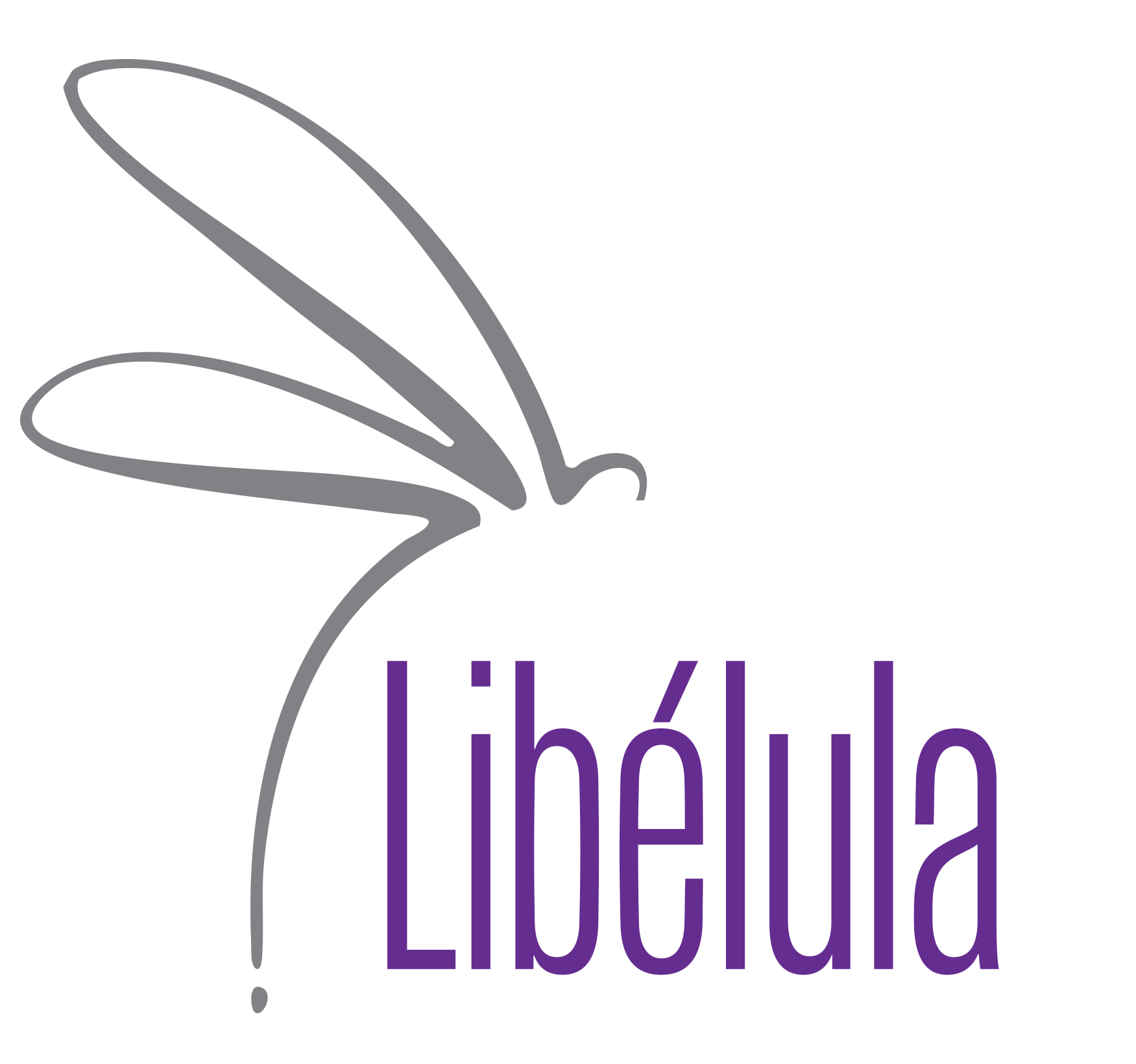 CV&F Libelula logo 2025